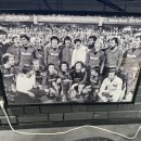 마이유로