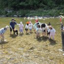 임당초등학교 이미지