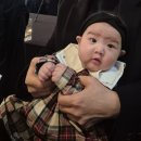 압소바 롯데수원점 | 카시트 추천 브라이텍스 듀얼픽스 프로 럭스 웜카라멜😭