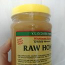 Y.S. Eco Bee Farms Raw Honey / 와이에스에코비팜스 생 꿀 후기