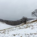 산울림목장 Daum카페