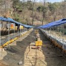 양구벌꿀 이미지