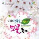 2017년 4월 제천 청풍호 벚꽃 축제 트레킹 이미지