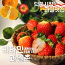 비타민과일촌