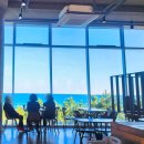 뷰 가 | 속초 카페 거리 바다정원 오션뷰 카페 솔직 후기 꼭 가볼만한곳