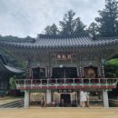 평창문익점펜션 이미지