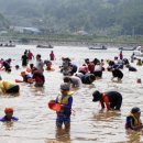 하동재첩 섬진강 이미지