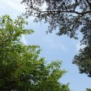 미래의원 이미지