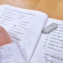 상일초등학교 이미지