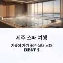 아쿠아테라 수족관 | 제주 스파 여행, 겨울에 가기 좋은 실내 스파 BEST 5 추천