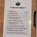 캠핑 고양이 | [강남 선릉역] 도심 속 고양이카페, 캠핑고양이 선릉점 방문 후기