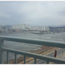 배곧누리초.중흥S클래스 네이버블로그