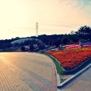 대공원광장대로 이미지