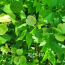 밤골어린이공원 이미지