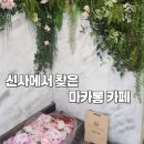 로얄꽃집 | 신사역 카페 추천 로얄마카롱 디저트 카페 후기