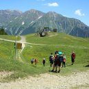 행복한 동행 이미지