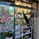 간이역 동부리역점 | 기장 박민호 간장게장 연구소 간장게장 양념게장 맛집 내돈내산 찐 후기?!