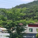 무인다방 세아수목원