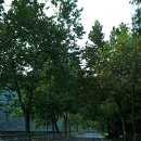 소백산 남천야영장2 이미지