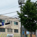 상주뽕잎칼국수 이미지