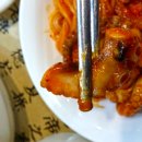 토담낙지한마당 이미지