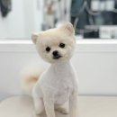 댕그리몽 네이버블로그