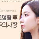 와이.영 이미지