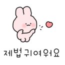 J1123 이미지
