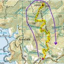 7월 15일 수 Kuataika Track (waitakeri) 이미지