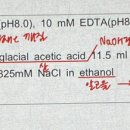 [편입학 생물] plasmid dna extraction 이미지