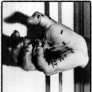 다담한의원 이미지