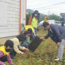 희망의 꽃밭에서 이미지