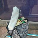 면세점 하이루프 쇼퍼백 가격 및 후기(장점,단점 포함)
