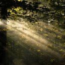 독     정 이미지