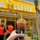 조금만천천히 | 단비단 다이어트환 3~4주 후기｜운동과 식단 병행하며 천천히 감량 중
