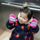 내야내야 똥강아지 이미지