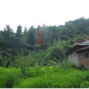 01-63 동구 이미지