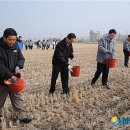 미곡(금호) 이미지