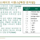 이스케이프C 티스토리
