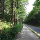 바우뫼로15길 이미지