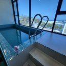 리벤티아 이미지