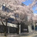 디오티미술관 이미지