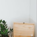 생활 속 힐링 아로마테라피 이미지