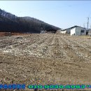 전곡농협협동조합 이미지