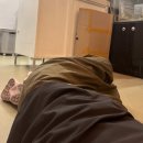 미스 & 미스터미용실 | (7월후기) 망원동 고양이 미용실 잠잠할 틈이 없다 /꼬드름효과보는 이누후와리 (광고x)