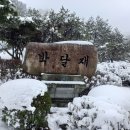 터골농원 이미지