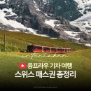 동신미니슈퍼 | 스위스 패스 종류 가격 총정리 | 스위스패스 융프라우패스 유레일패스 비교