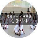 아이비 태권도장 이미지
