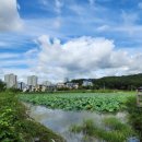 나불지공영주차장 이미지