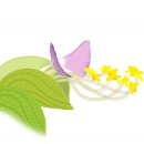 불광1-009 Daum카페